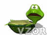 Obrácena želva, Animace na mobil