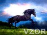 Černý kůň, Fantasy - Tapety na mobil - Ikonka
