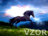 Černý kůň, Zvířátka - Tapety na mobil - Ikonka