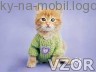 Kočička ve svetříku, Tapety na mobil
