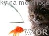 Kočka a rybička v akvárku, Tapety na mobil