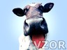 Kráva, Zvířátka - Tapety na mobil - Ikonka