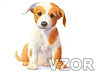 Malované štěně, Psi - Zvířátka na mobil - Ikonka