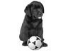 Pes s míčem, Psi - Zvířátka na mobil - Ikonka